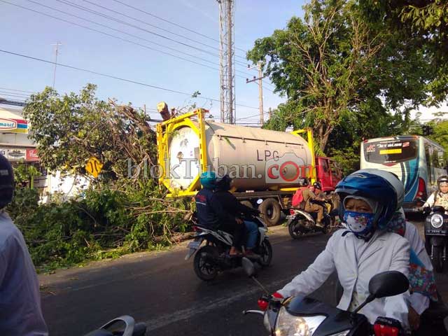 Truk LPG Asal Surabaya Tertimpa Pohon Di Tuban