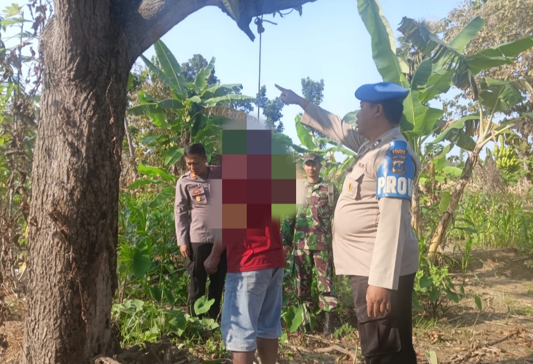 Petani di Tuban Ditemukan Gantung Diri di Pohon Mangga, Diduga Alami Depresi