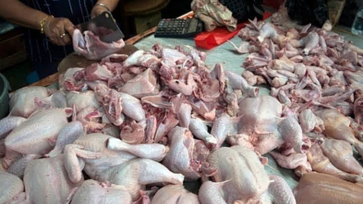 Kebutuhan Ayam Naik, DKP2P Tuban Siapkan Juleha Bersertifikat SKKNI