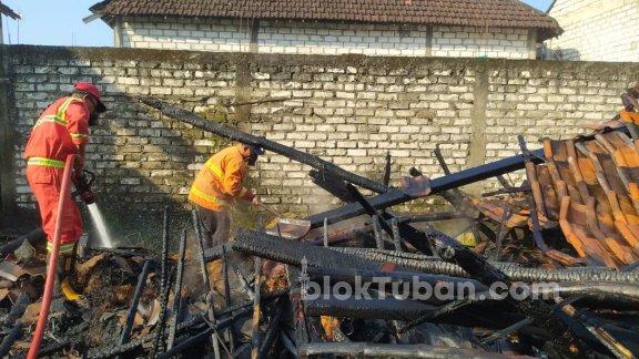 Bakar Jerami, Kandang Sapi Milik Warga Tuban Habis Dilalap Api