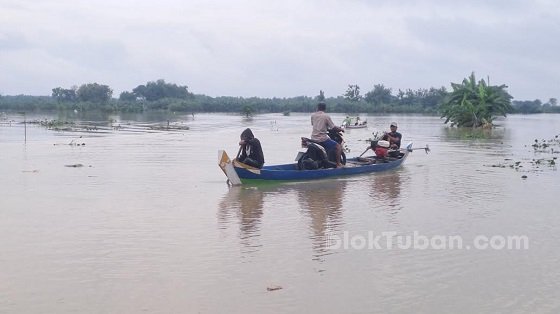 Belum Ada Tanggul Jadi Penyebab Banjir Luapan Bengawan Solo di Tuban 