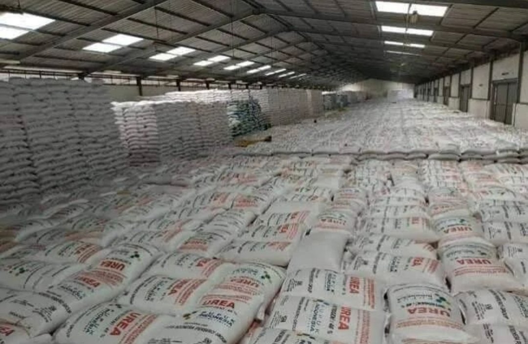 Pupuk Bersubsidi Disalurkan ke 3,4 Juta Petani di Jawa Timur, Stok 1.920.074 ton