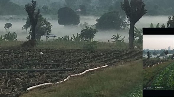 Kondisi Udara Desa Tasikharjo Pasca Kebocoran Tangki TBBM Pertamina Jenu Tuban