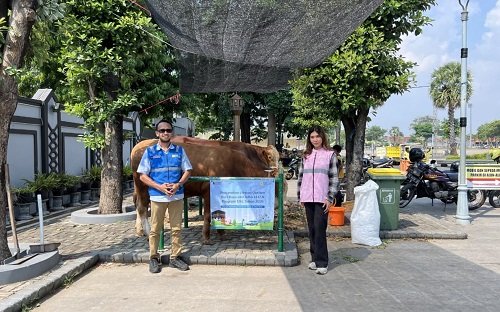 PLN Nusantara Power UP Tanjung Awar-Awar Tebar Keberkahan Lewat Penyaluran Hewan Kurban di Iduladha 1447 H