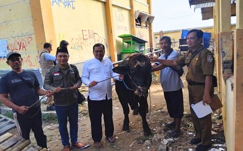 Jelang Iduladha, Bupati Tuban Serahkan Hewan Kurban Kepada PCNU Tuban