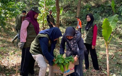 Lestarikan Kebun Kopi sebagai Aset Desa, Mahasiswa IAINU Tuban Tanam 400 Bibit di Mbongok