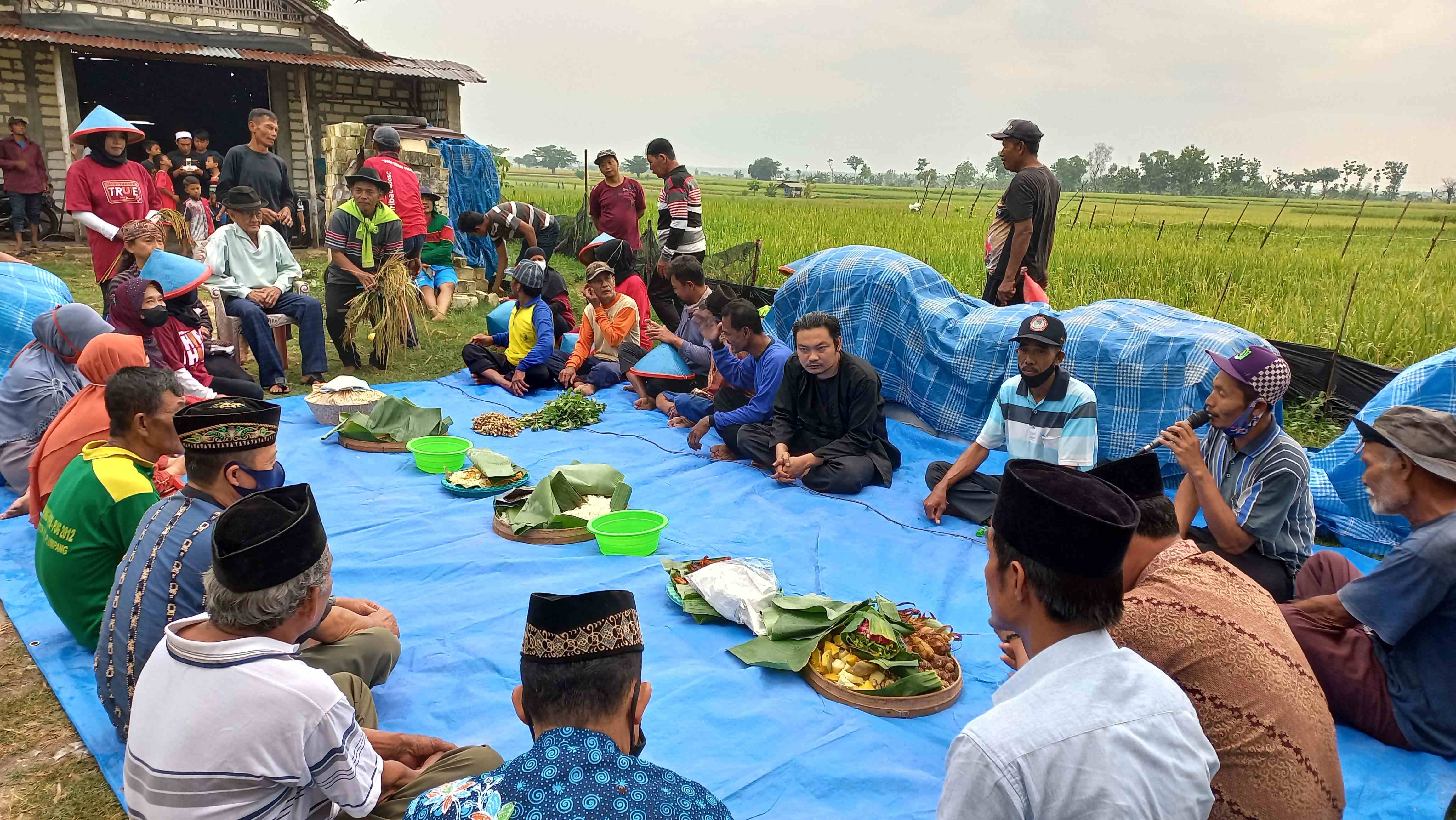 Tumpah Ruah, Guyub Rukun Warga Plumpang Wiwit Padi