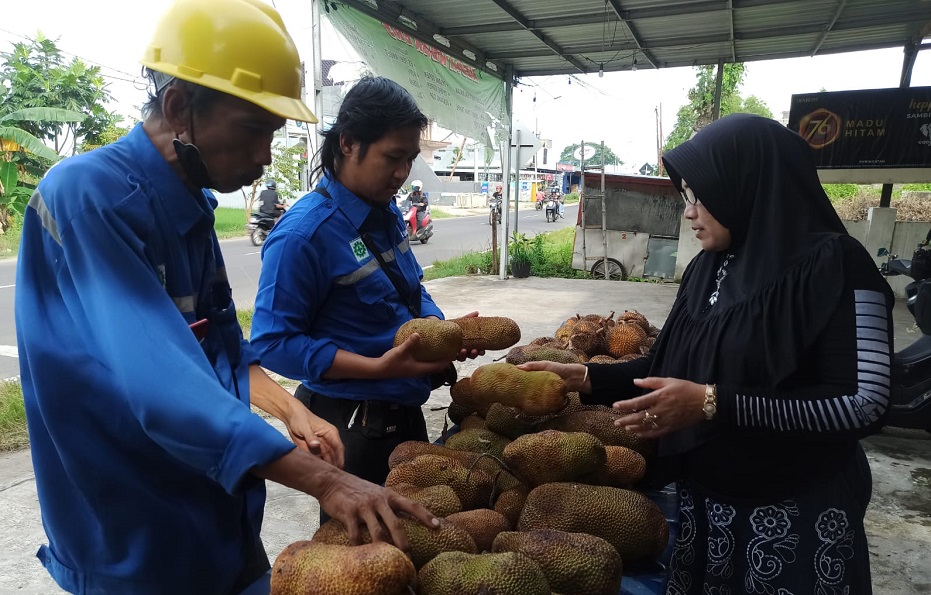 Menikmati Cempedak Dan Lai Buah Asli Kalimantan Di Kabupaten Tuban