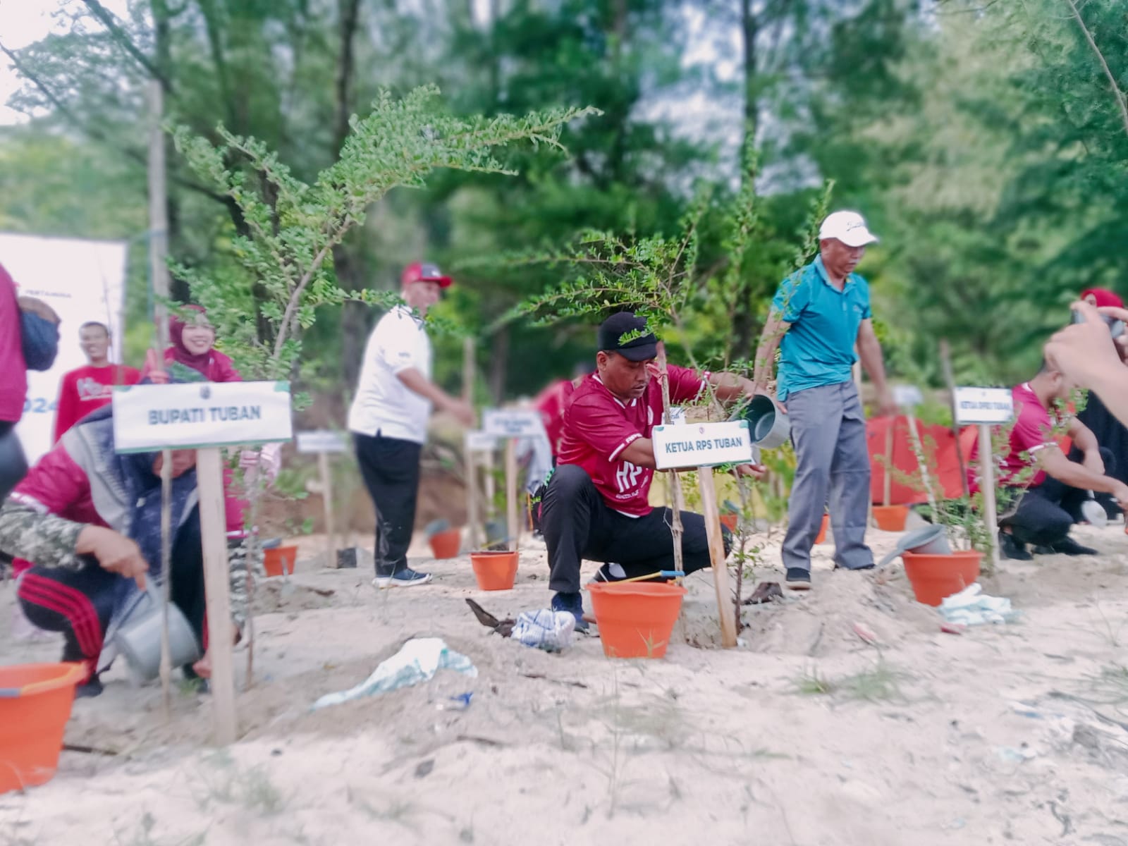 Harapan Baru di Pantai Tuban, RPS Tanam Kembali Pohon Santigi untuk Masa Depan