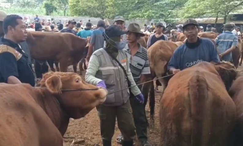 Permintaan Kurban Meningkat, Ini 3 Jurus Tuban Cegah Penyakit Ternak