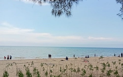 Cuaca 24 November: Kondisi Maritim Tuban Tetap Terkendali, BMKG Berikan Peringatan Ringan