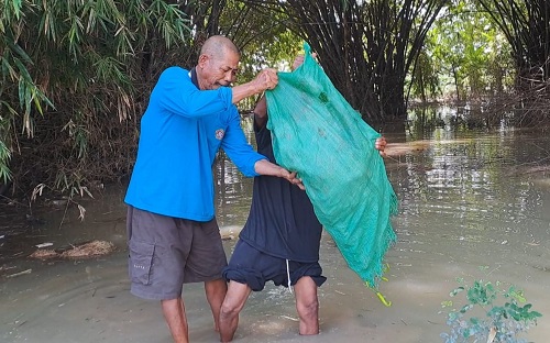 Petani Cabai di Kanorejo Buang Hasil Panen karena Tak Laku di Pasaran