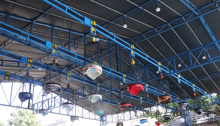 Ratusan Pecinta Burung Ikuti Lomba Kicau Burung Kapolres Tuban Cup