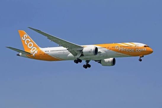 Nomor Saluran Cs Scoot Indonesia 24 jam