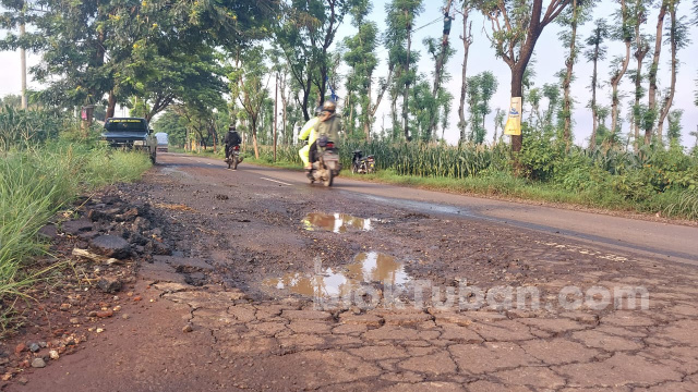 Warga Keluhkan Jalan Penghubung Kecamatan di Tuban Rusak Kerap Timbulkan Laka Lantas