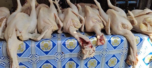 Harga Daging Ayam di Tuban Capai 41 hingga 80 Ribu Rupiah per Kg