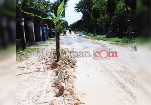 Jalan Rusak Warga Tanam Pohon Pisang